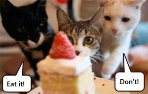 catdevils